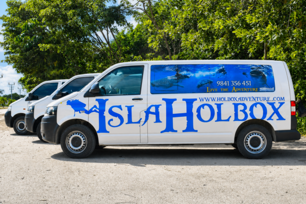 Transportadora Trip Holbox